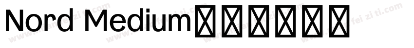 Nord Medium字体转换